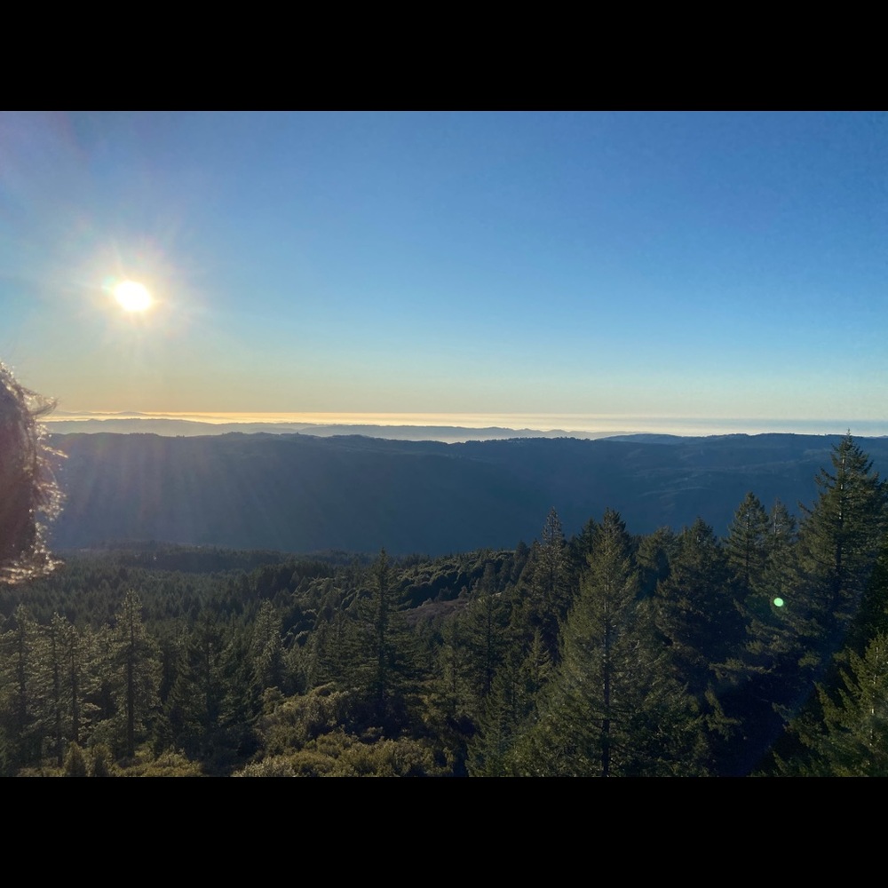 Meet your Posher, Ricky